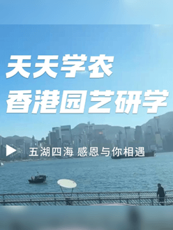 与香港园艺学会联合举办香港园艺研学，专业园境师带队讲解。